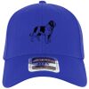 OTTO CAP® OTTO FLEX® Fitted 6 Panel Low Profile Baseball Cap Thumbnail